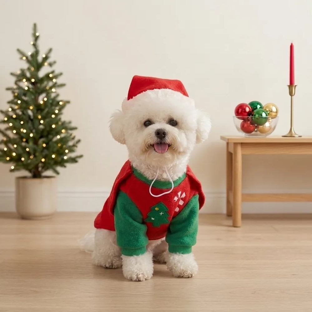 Tamecare Christmas Knight Dog Costume Set