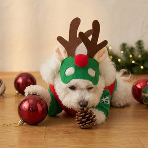 Tamecare Reindeer Mask Dog Christmas Costume Set