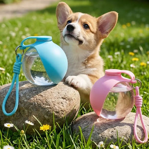 Portable Leak-Proof Pet Water Bottle for Travel & Walks
