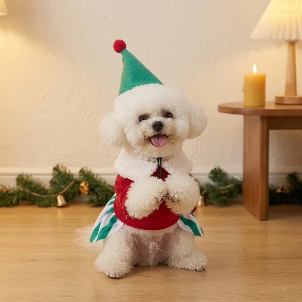 Tamecare Starry Christmas Dog Dress and Hat Set