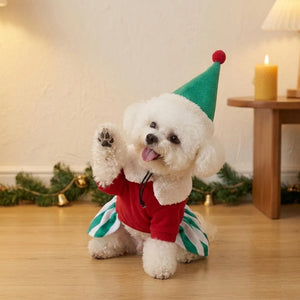 Tamecare Starry Christmas Dog Dress and Hat Set