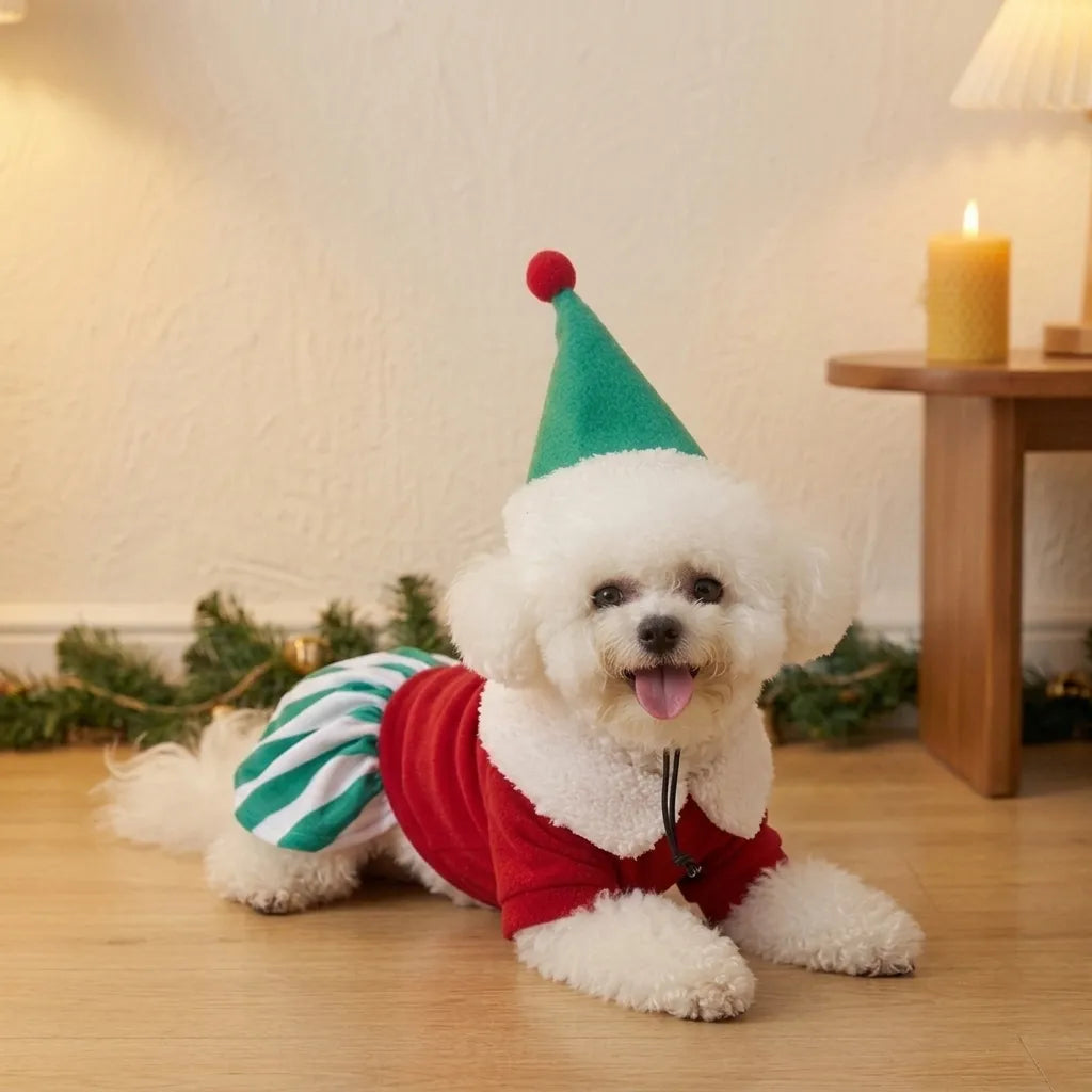Tamecare Starry Christmas Dog Dress and Hat Set