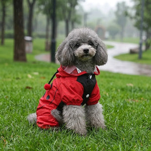 Ladybug Four-Legged Raincoat