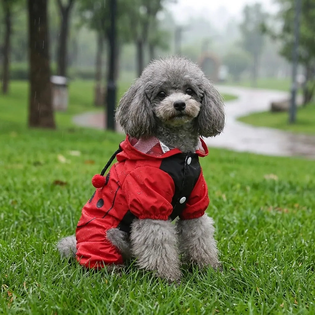 Ladybug Four-Legged Raincoat