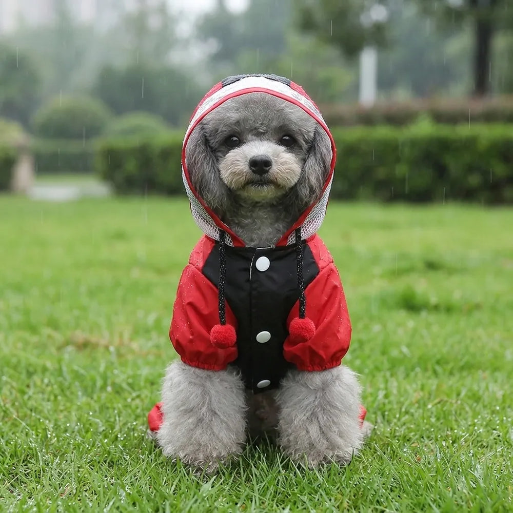 Ladybug Four-Legged Raincoat