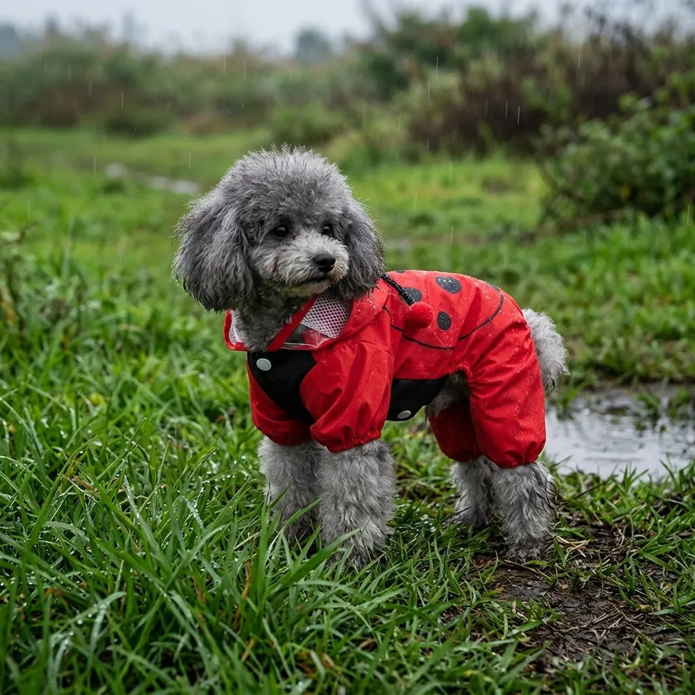 Ladybug Four-Legged Raincoat