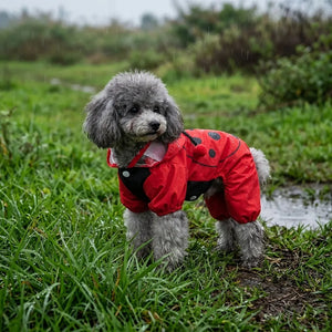 Ladybug Four-Legged Raincoat