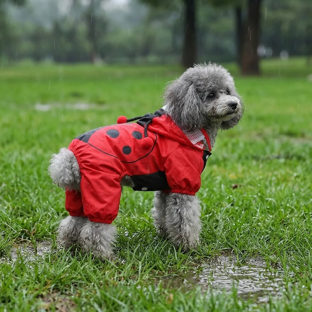 Ladybug Four-Legged Raincoat