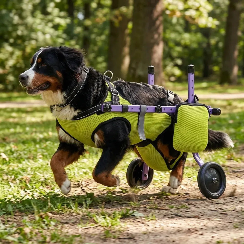 Disabled Dog Mobility Support Wheelchair