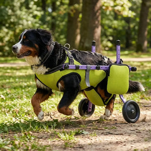 Disabled Dog Mobility Support Wheelchair