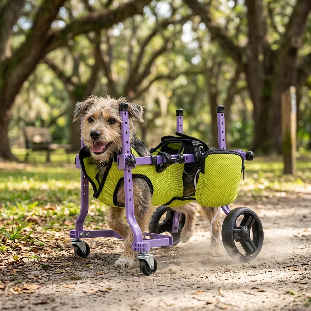 Full Support Dog Mobility Cart