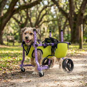 Full Support Dog Mobility Cart