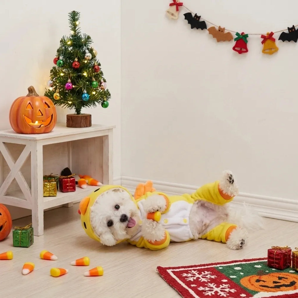 Tamecare Yellow Chick Dog Costume