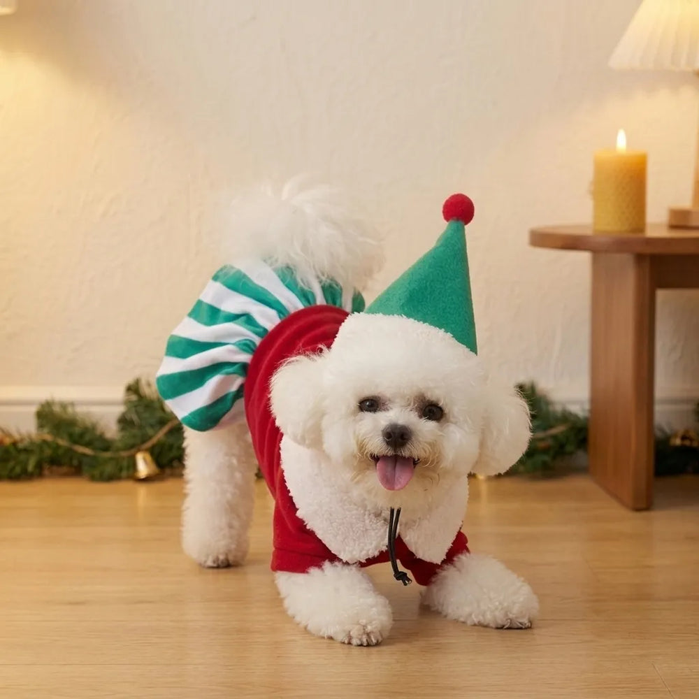 Tamecare Starry Christmas Dog Dress and Hat Set