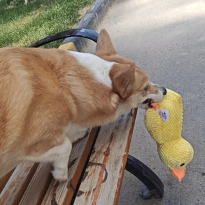 Tamecare Calming Duck Plush Dog Toy