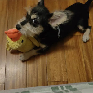 Tamecare Calming Duck Plush Dog Toy