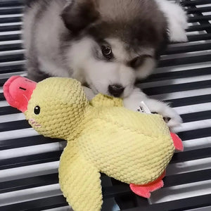 Tamecare Calming Duck Plush Dog Toy