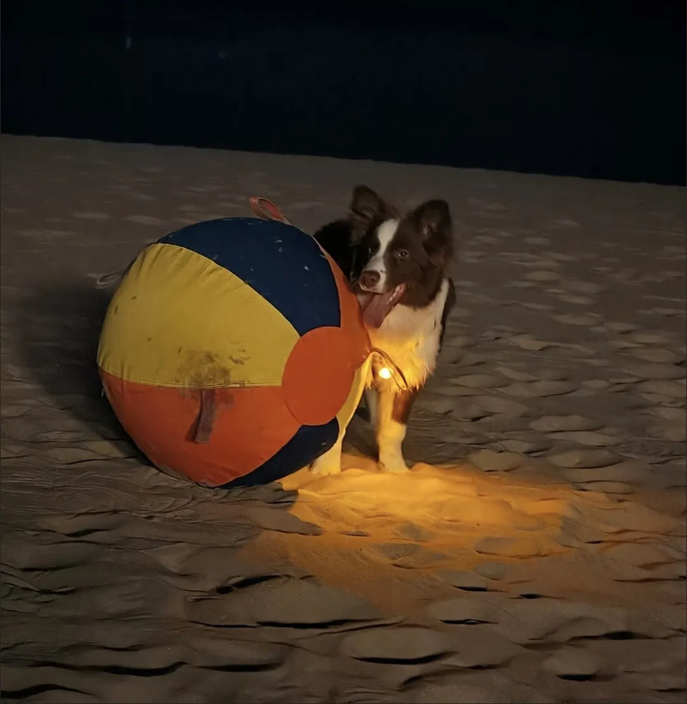 Tamecare Calming Jumbo Ball Dog Toy