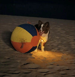 Tamecare Calming Jumbo Ball Dog Toy