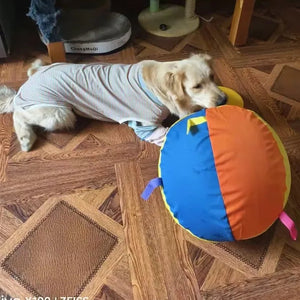 Tamecare Calming Jumbo Ball Dog Toy
