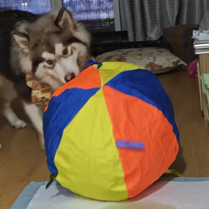 Tamecare Calming Jumbo Ball Dog Toy