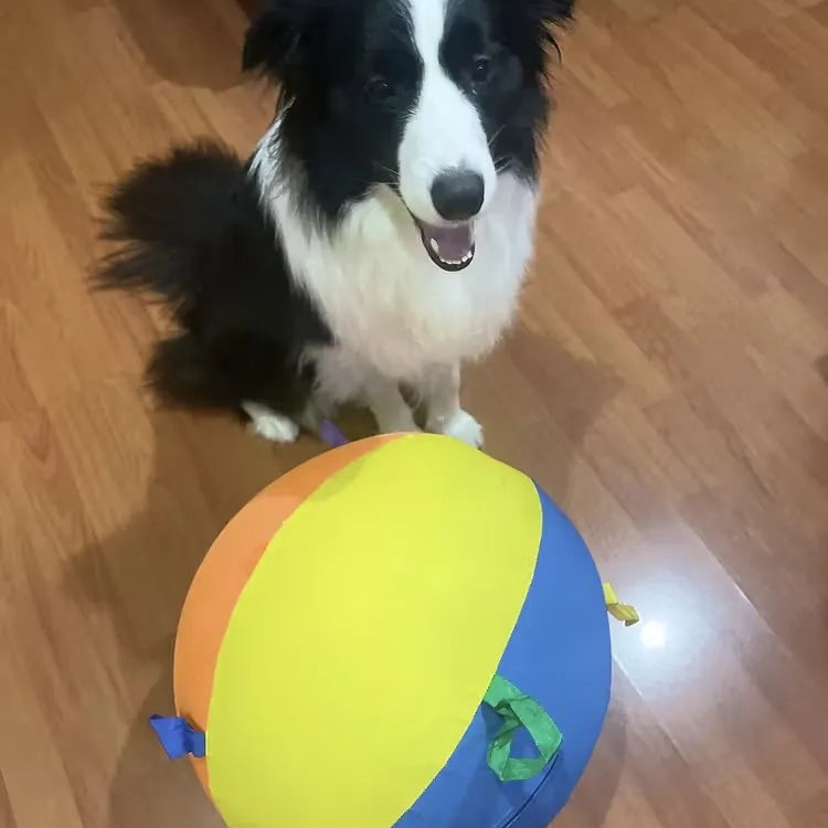 Tamecare Calming Jumbo Ball Dog Toy