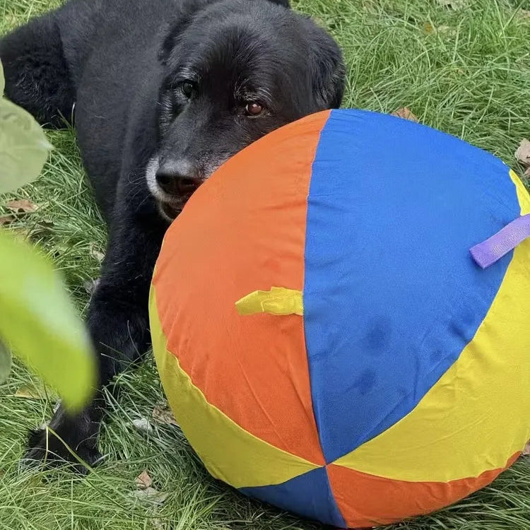Tamecare Calming Jumbo Ball Dog Toy