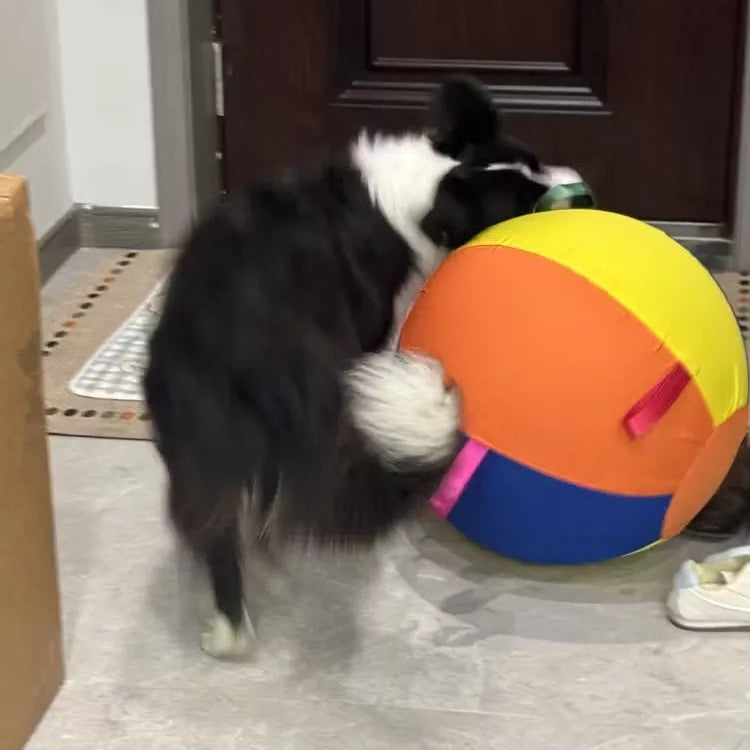 Tamecare Calming Jumbo Ball Dog Toy
