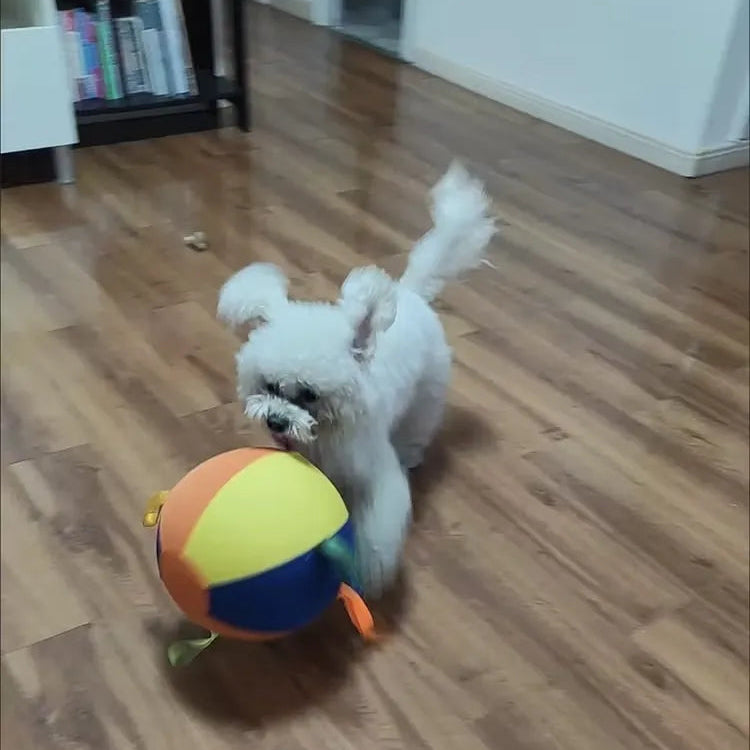 Tamecare Calming Jumbo Ball Dog Toy