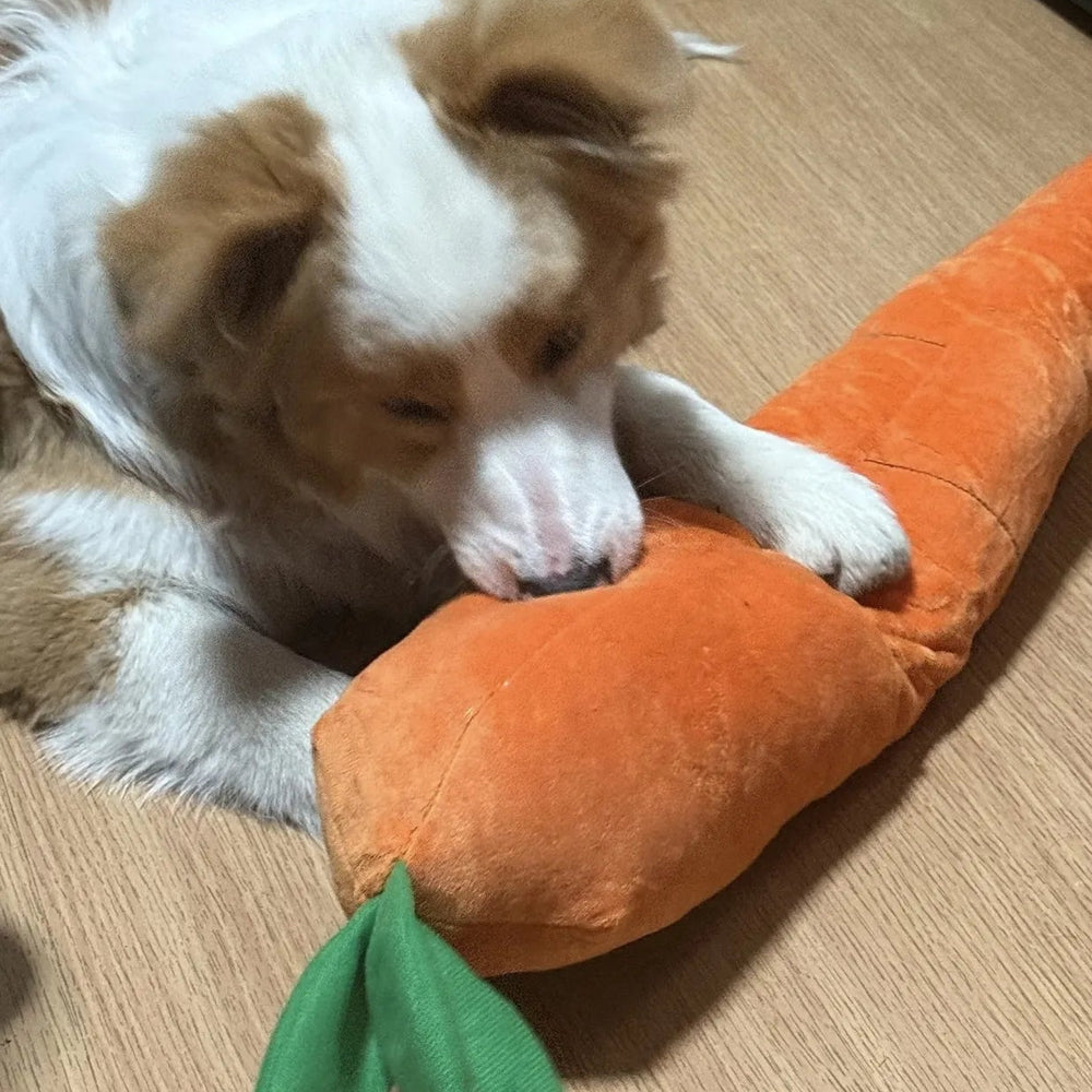Tamecare Calming Carrot Plush Dog Toy