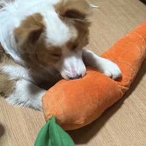 Tamecare Calming Carrot Plush Dog Toy
