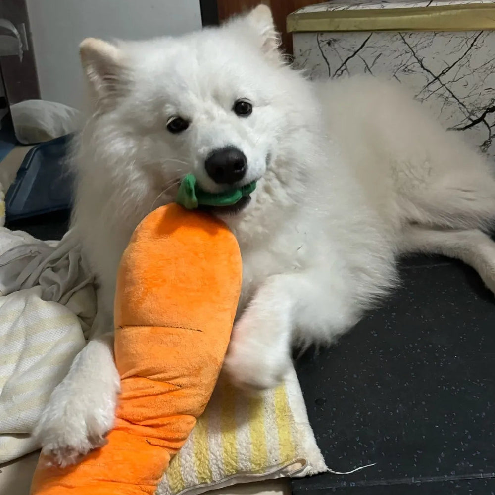 Tamecare Calming Carrot Plush Dog Toy
