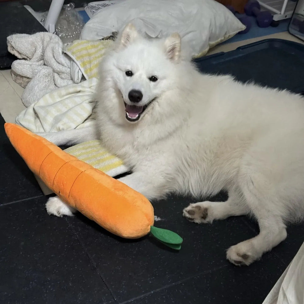 Tamecare Calming Carrot Plush Dog Toy