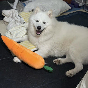Tamecare Calming Carrot Plush Dog Toy