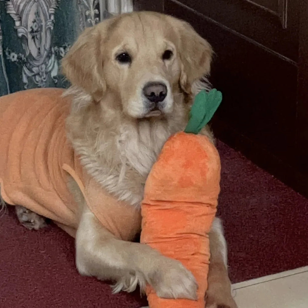 Tamecare Calming Carrot Plush Dog Toy
