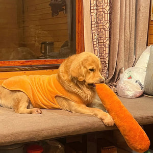 Tamecare Calming Carrot Plush Dog Toy
