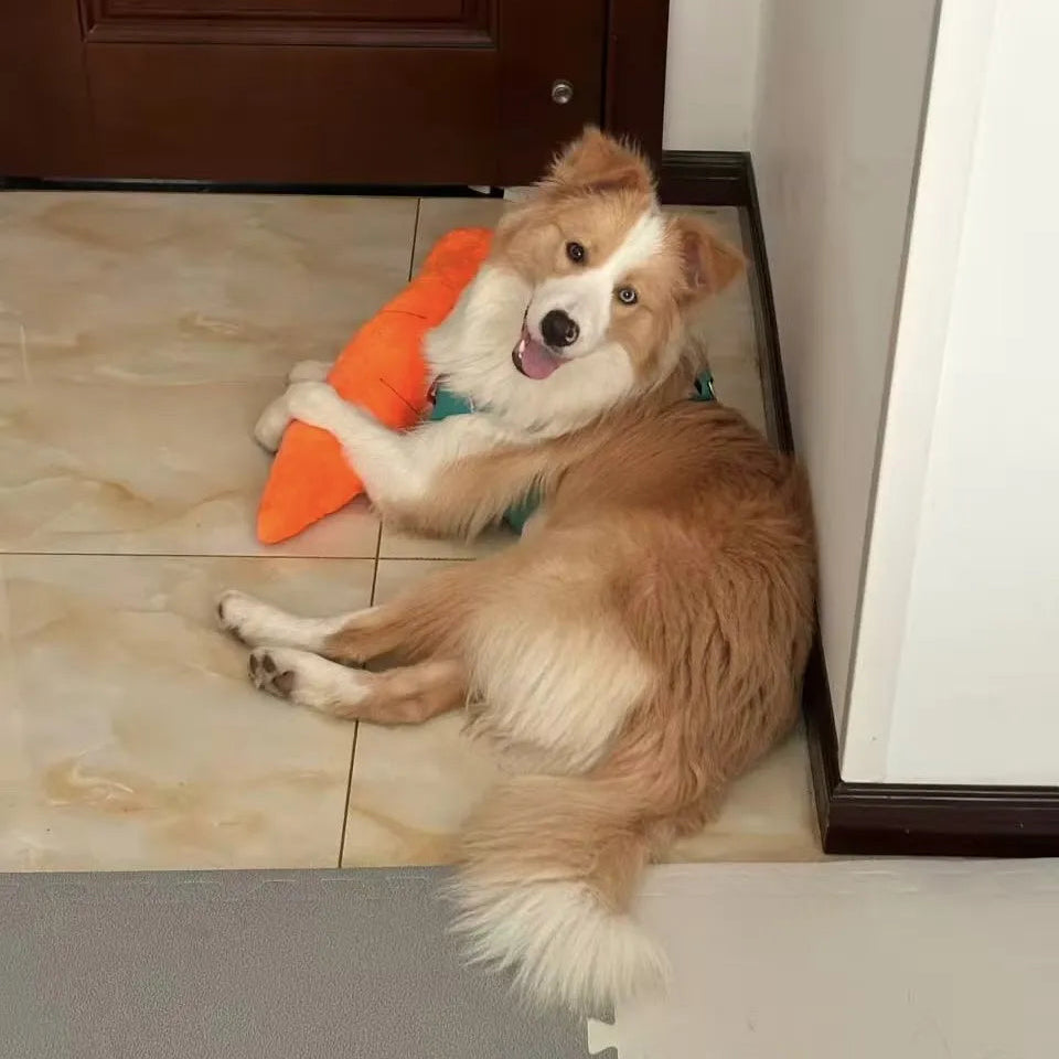 Tamecare Calming Carrot Plush Dog Toy