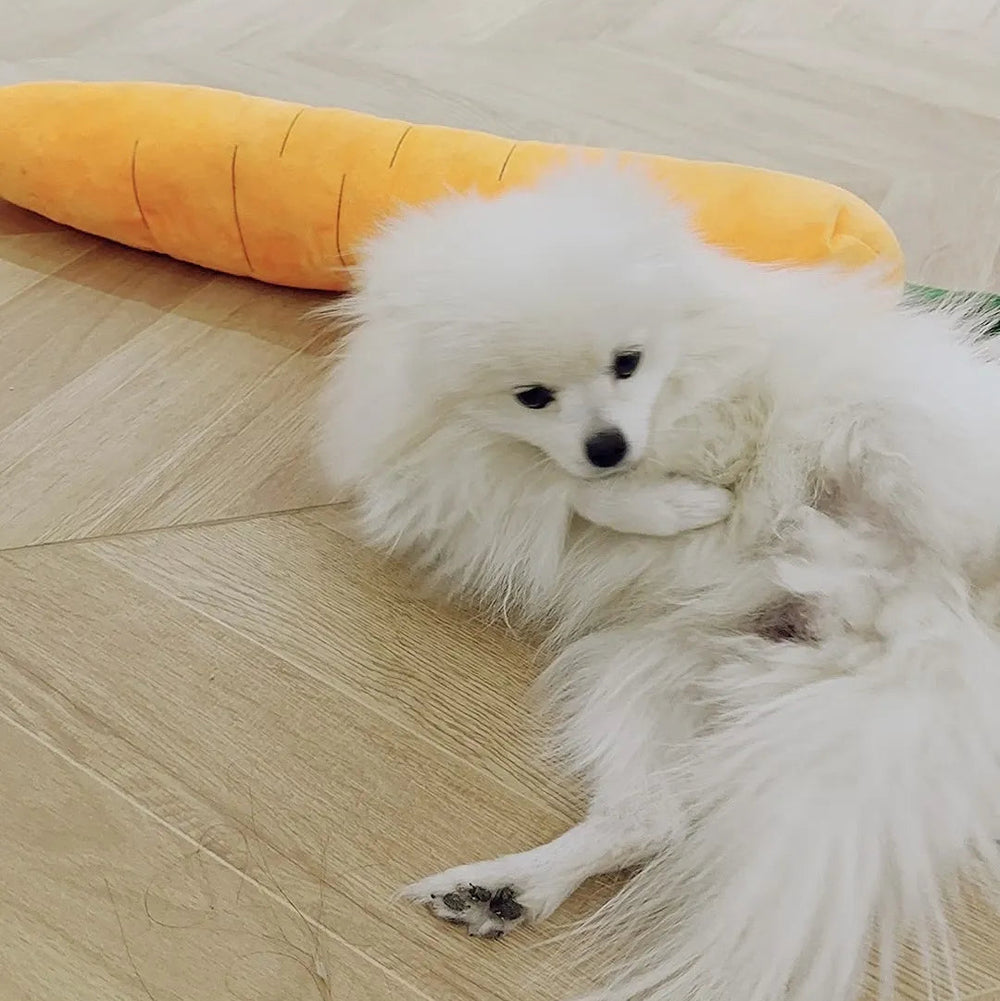Tamecare Calming Carrot Plush Dog Toy