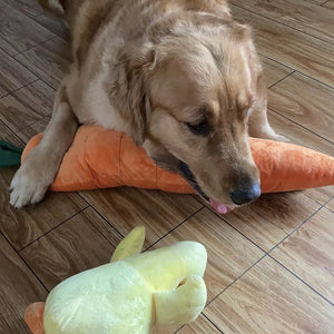 Tamecare Calming Carrot Plush Dog Toy