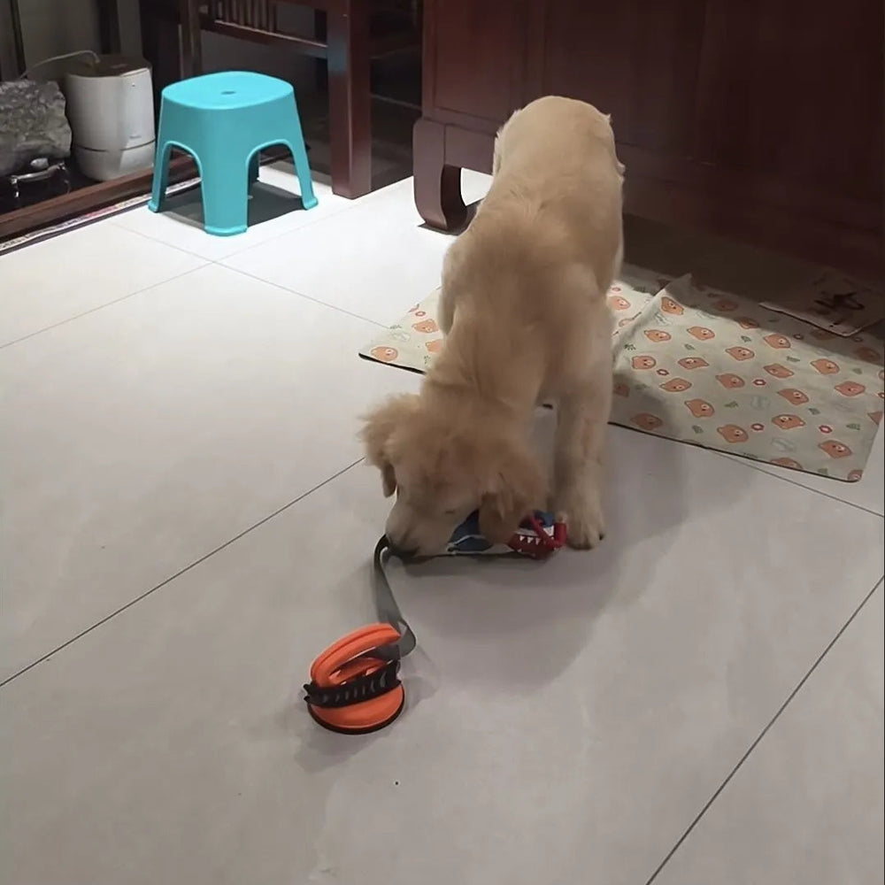 Tamecare Shark Buddy Suction Tug Dog Toy
