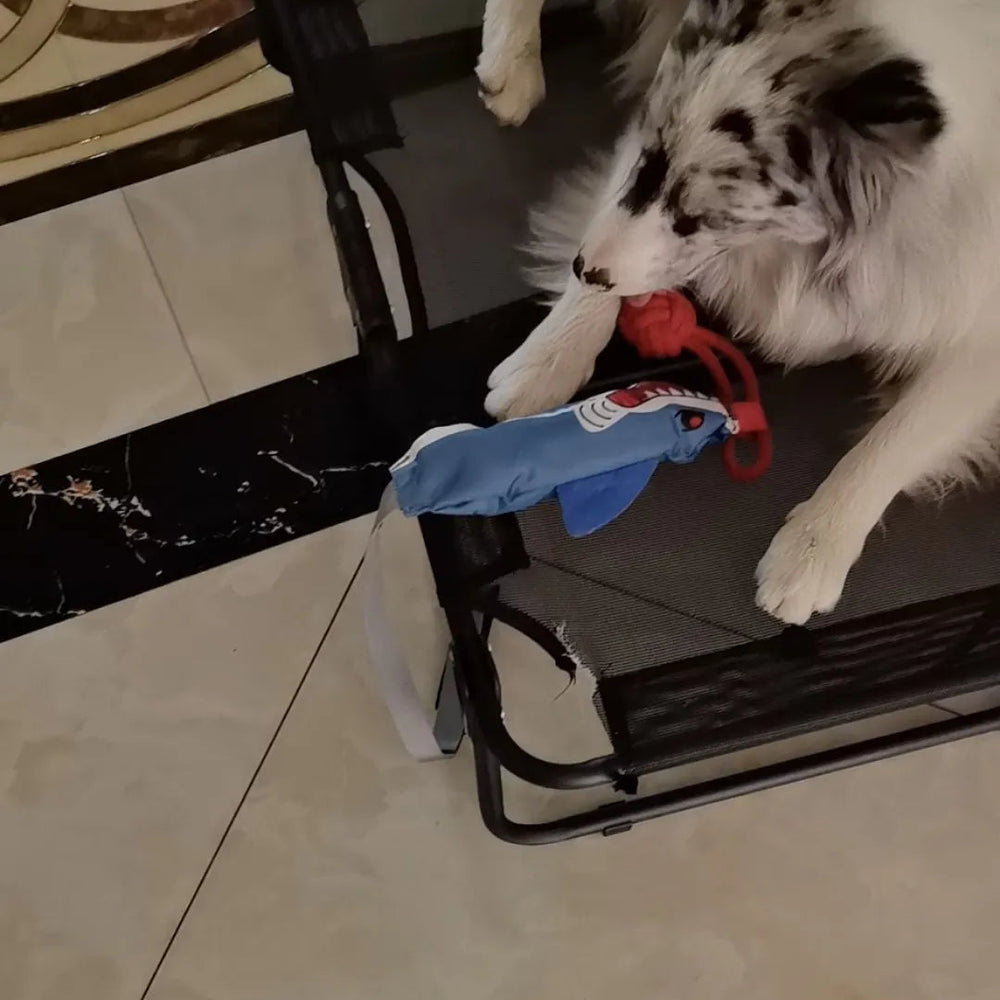 Tamecare Shark Buddy Suction Tug Dog Toy