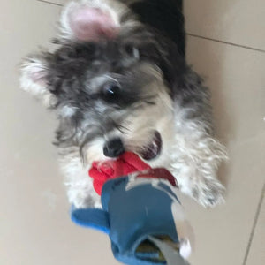 Tamecare Shark Buddy Suction Tug Dog Toy