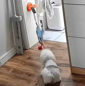 Tamecare Shark Buddy Suction Tug Dog Toy