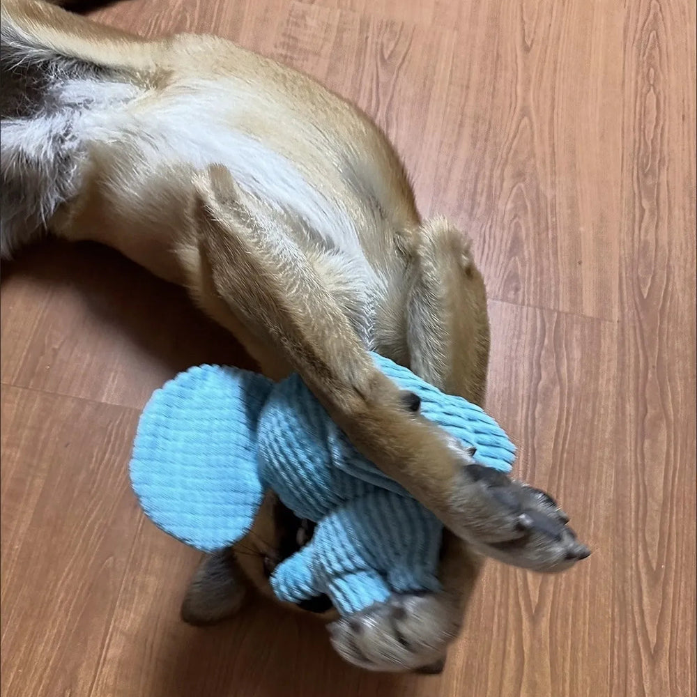 Tamecare Calming Elephant Plush Dog Toy