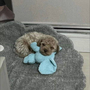 Tamecare Calming Elephant Plush Dog Toy
