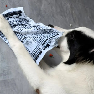 The Barkly Times Crinkle Squeaky Dog Newspaper Toy