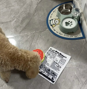 The Barkly Times Crinkle Squeaky Dog Newspaper Toy