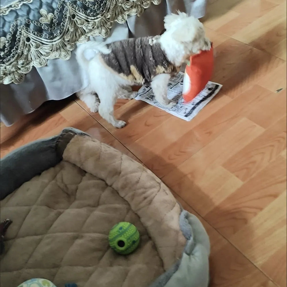 The Barkly Times Crinkle Squeaky Dog Newspaper Toy