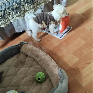 The Barkly Times Crinkle Squeaky Dog Newspaper Toy