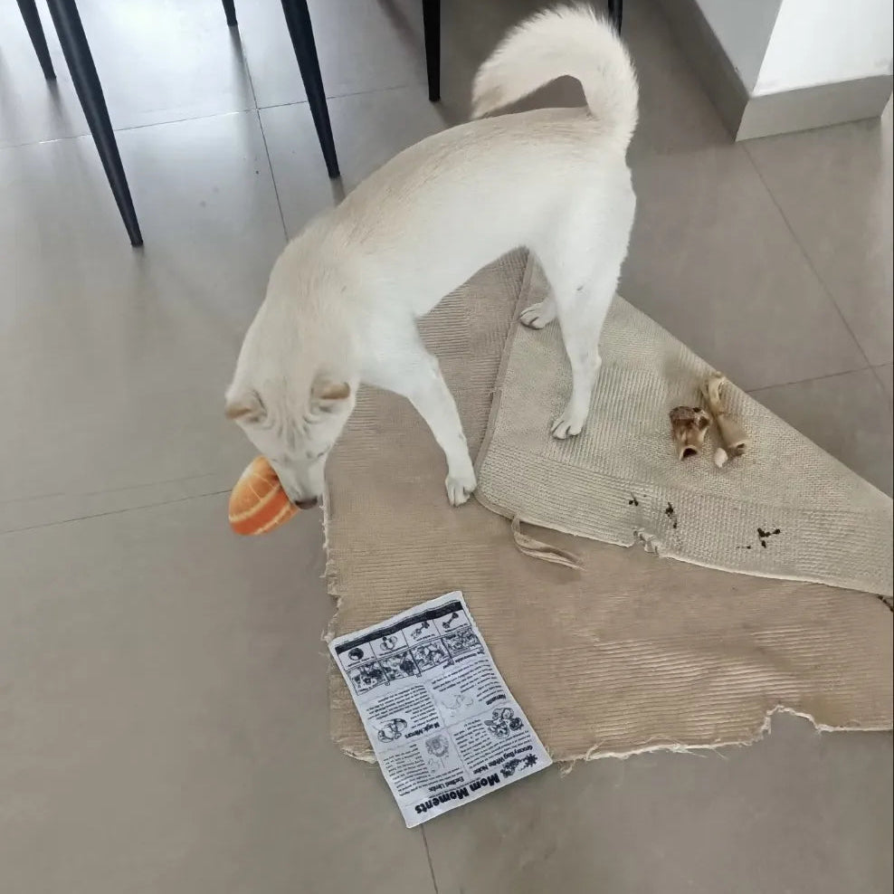 The Barkly Times Crinkle Squeaky Dog Newspaper Toy